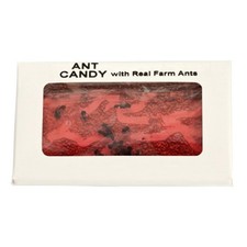 Hotlix Ant Candy Real Farm Ants Insects Cherry Flavor Sugar Free Hard