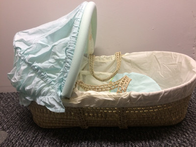 dormouse moses basket