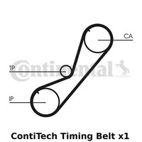 Contitech Zahnriemen - CT1077, Breite: 24Mm, 146 ZäHne, Cam GüRtel - Oe QualitäT