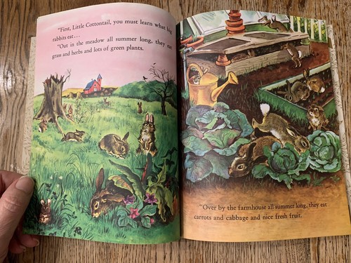 Vintage 1975 Little Cottontail Little Golden Book Carl Memling Lillian Obligado - Picture 8 of 12