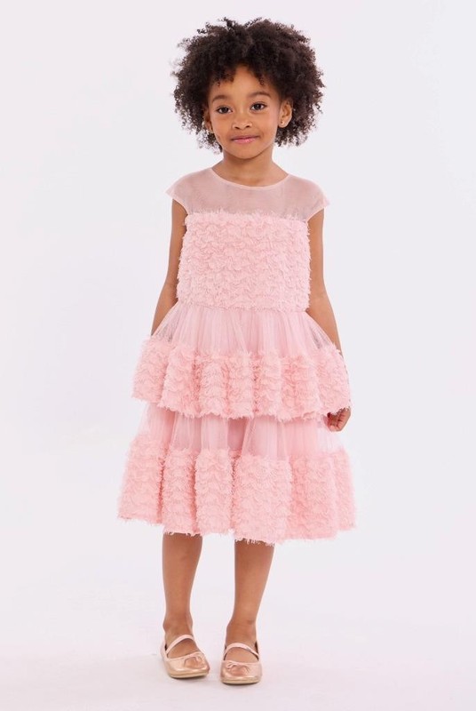 NEW Bonnie Jean Girls Size 6X "BLUSH PETAL FRINGE APPLIQUE" Illusion Dress NWT