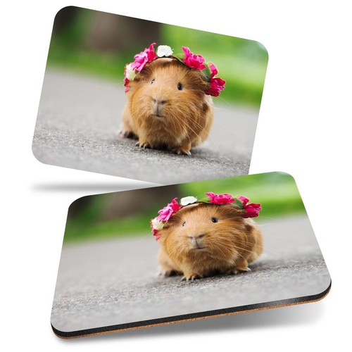 2x MDF Cork Placemat 29x21.5cm Funny Ginger Guinea Pig Rodent 24492 eBay