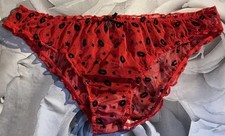 Woman’s CD TV sexy Sheer Stretch knickers Panties Briefs underwear Size L 14