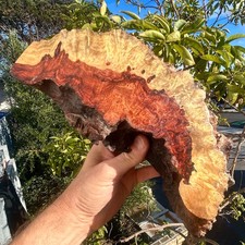 Amboyna Burl Wood Pen Blanks Knife Scales Turning Blank 10" x 5" x 4"
