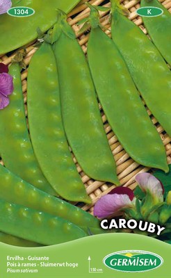 Zucchero Di Acero Puro Bio – Oasi Delle Spezie