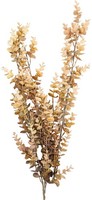 Clayre & Eef 5PL0352BE Dekoration Zweig Beige GrüN 90 Cm