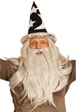 Adult Wizard Wig and Long Beard with Wizard Merlin Sorcerer Costume Hat - All...
