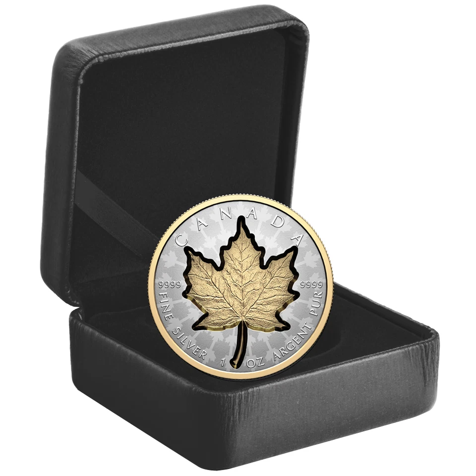 1 oz Kanada Silbermünze Maple Leaf 2024 - Super Incuse Reverse Proof - Bild 4 von 4