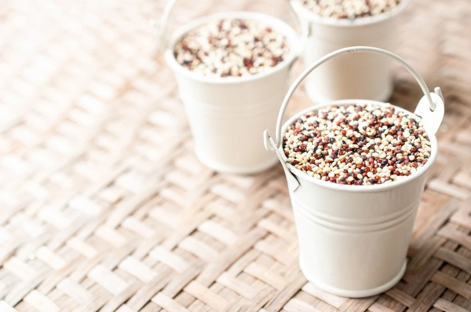Quinoa orgánica tricolor: sin OGM, cruda, entera, kosher, sirtfood, germinable Foto 3 de 4