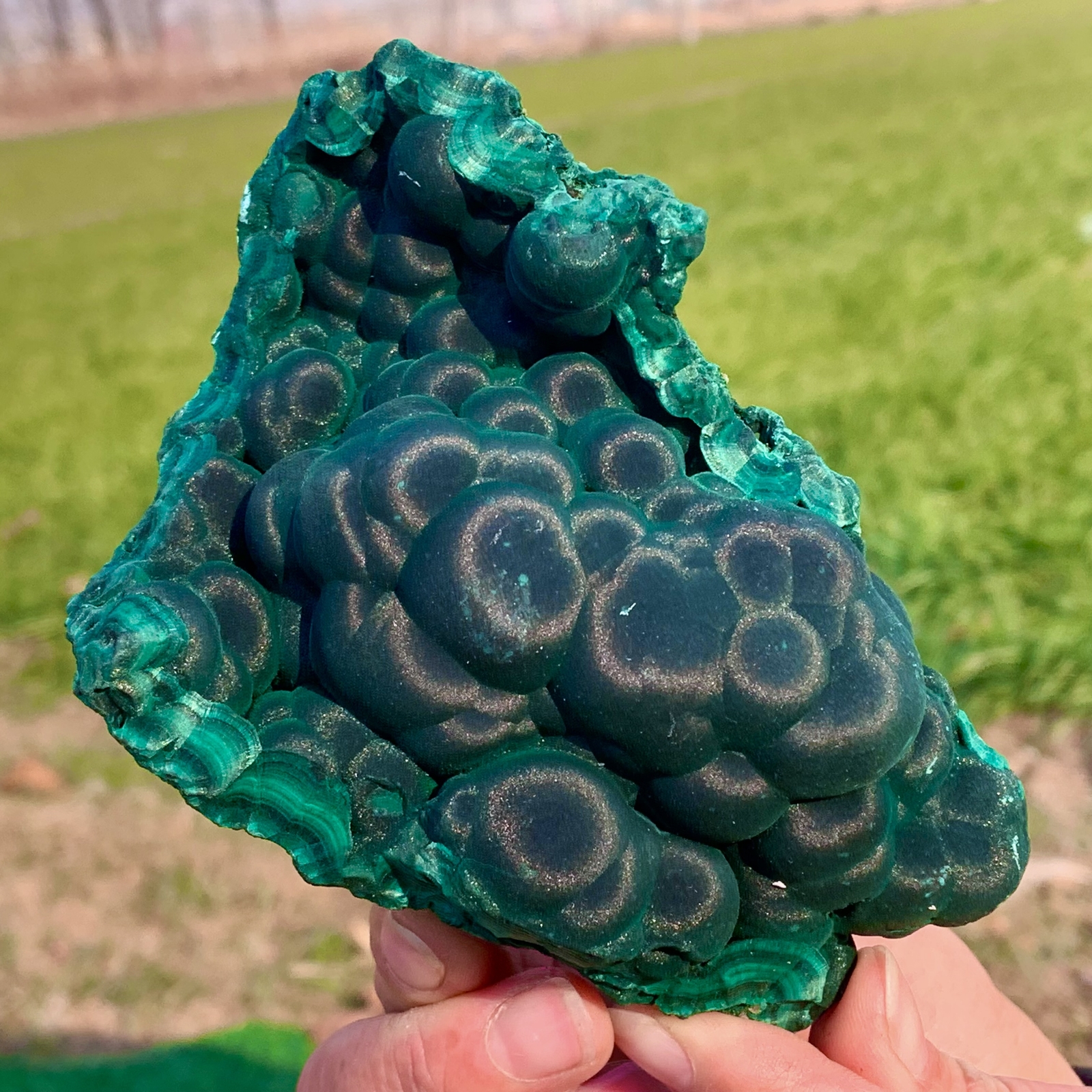 465G Natural velvet Malachite stone cat eye cluster rough mineral sample