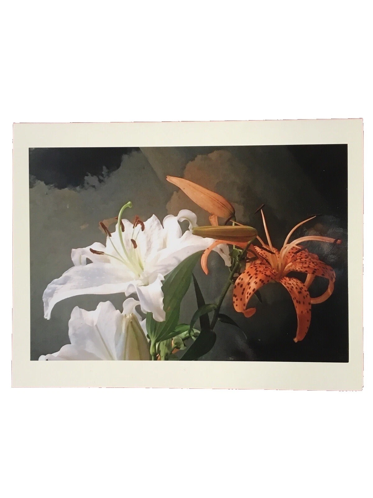 All Occasions Greeting Cards & Invitations