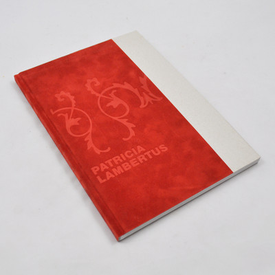 Katalog / Kunstkatalog Patricia Lambertus Hardcover 2010 Klaus Hübner