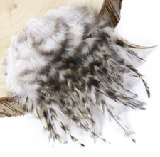 50 plumas naturales de gallo pardo 8-15 cm hágalo usted mismo artesanía sombrerería boho a granel