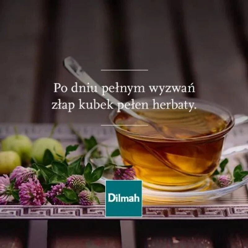 Té Verde Dilmah 2 X 20 Bolsas Jazmín Natural Puro Ceilán Sri Lanka Té Foto 4 de 4