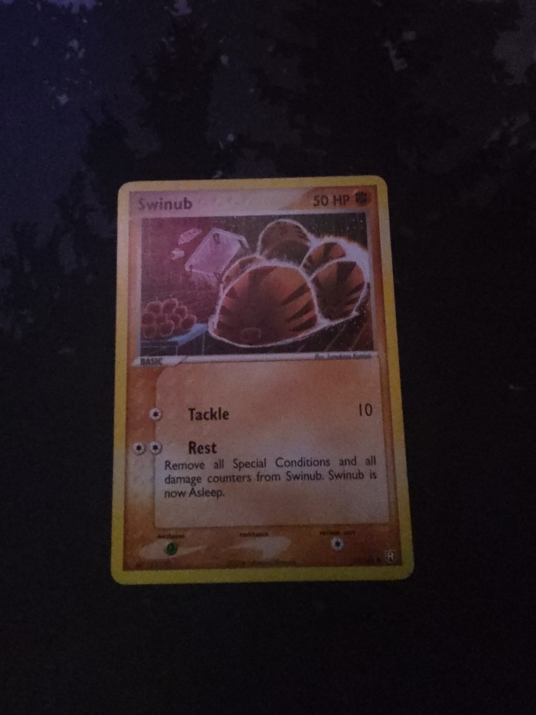 Pokemon Swinub 79/109 EX Team Rocket Returns Common Fighting 2004 NM