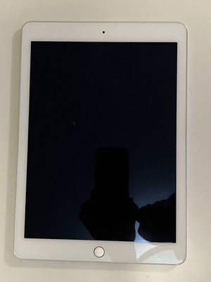 Apple iPad Air 2 16GB, WLAN, 24,64 cm, (9,7 Zoll) - Silber