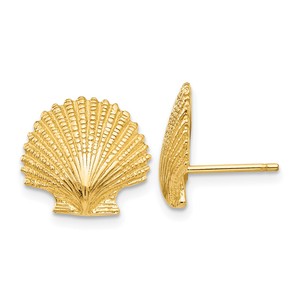 13mm 14k stud earrings yellow gold scallop seashell lover ocean ladies