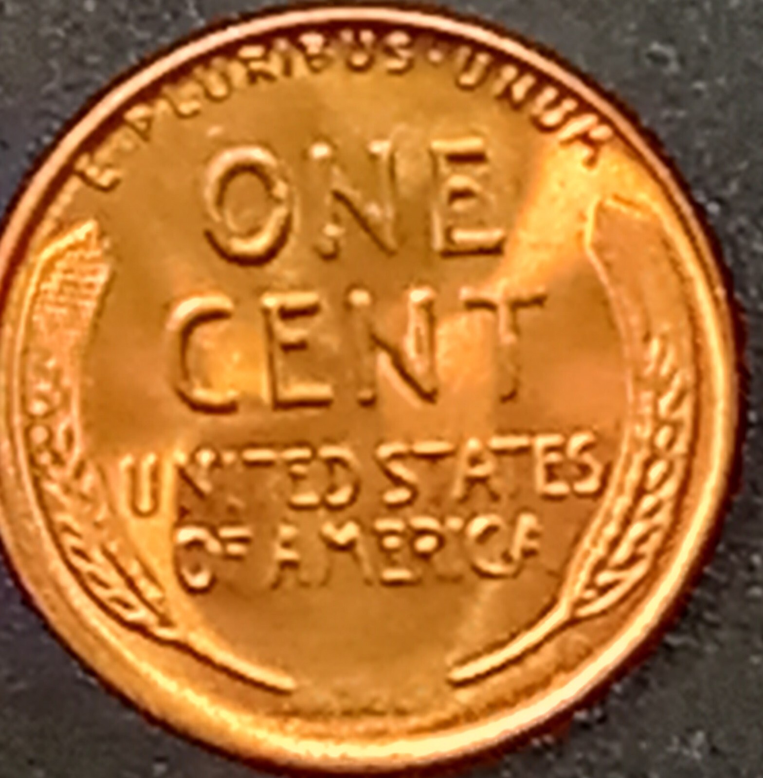 Picture 10 of 24