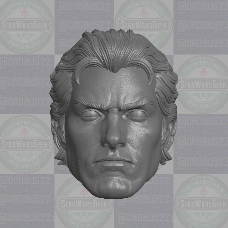 Peter Parker Alex Ross ver v1 custom head for 1:6 1:10 1:12 1:18 Marvel ...