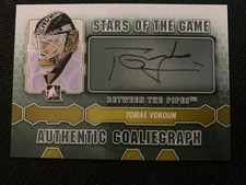 2012-13 In The Game Between The Pipes #A-TV Tomas Vokoun Authentic Goaliegraphs