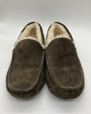 Uggs ascot brown wool slipper size 11 Men main image 4