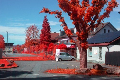 INFRARED Nikon RICH FALSE COLOR IR | Nikon D5000 SET! | Full spectrum IR DSLR