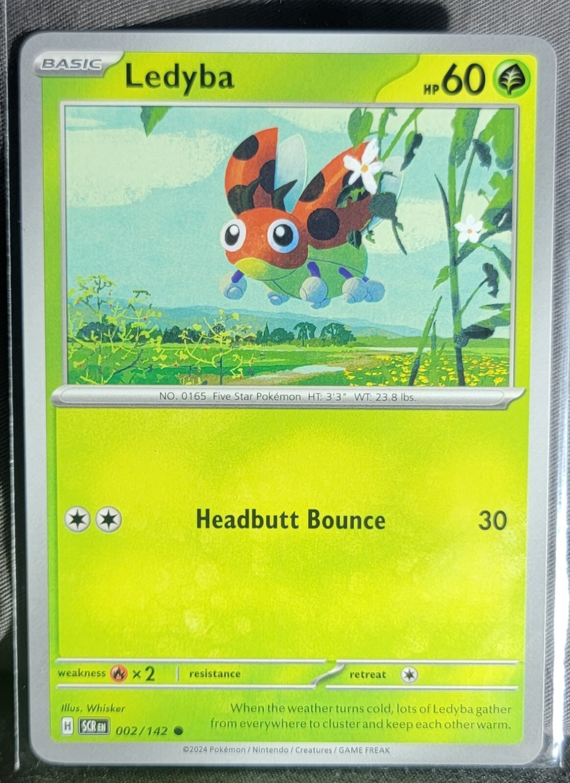 Pokemon TCG Card Ledyba 002/142 S&V Stellar Crown Common NM