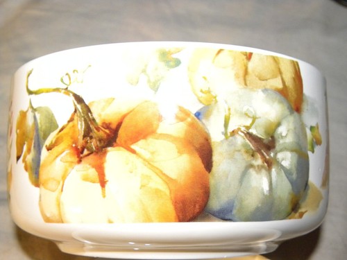 2018 Botanical Pumpkin Stoneware 6" Soup Cereal Serving Bowls TWO NEW - Picture 2 of 2