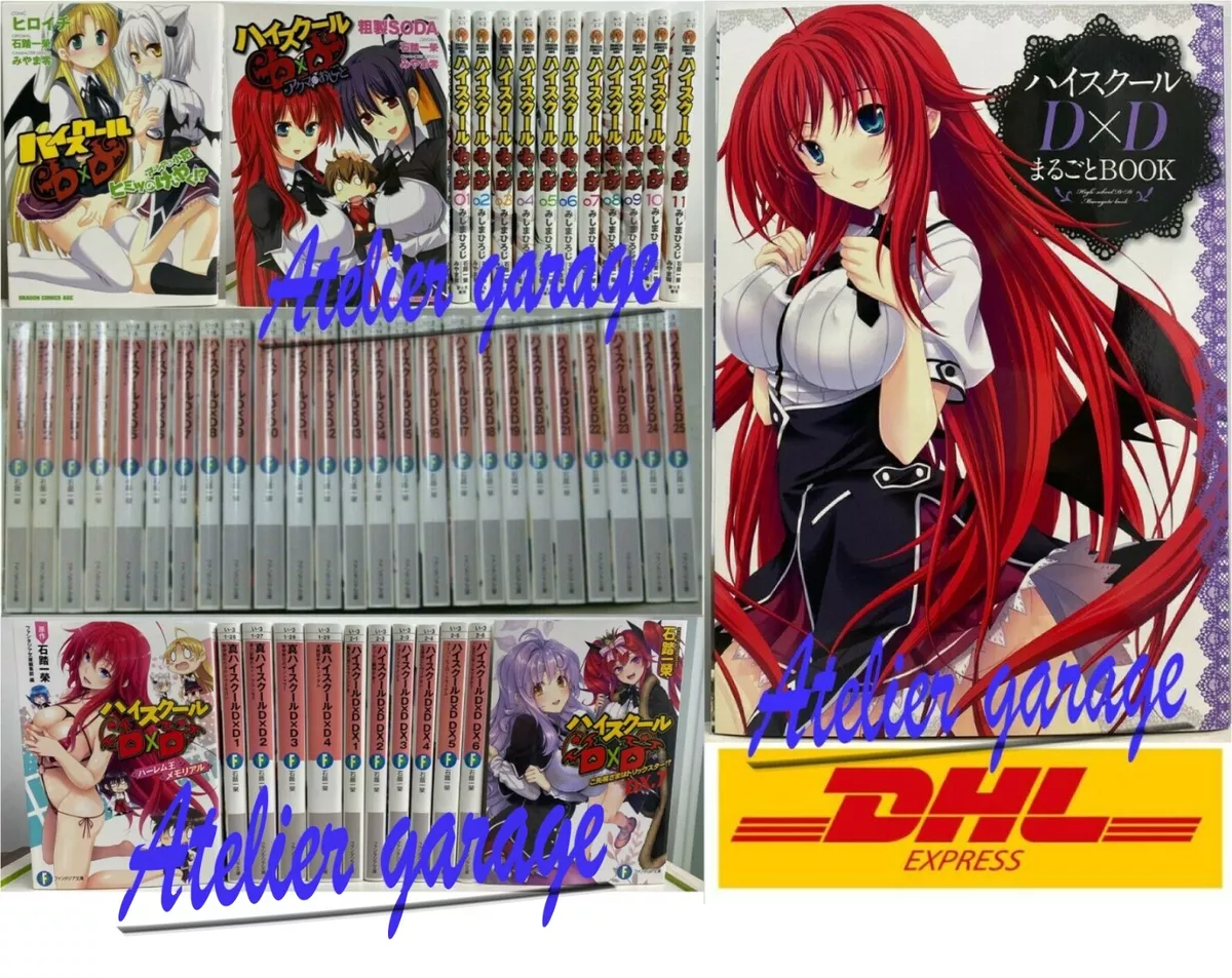 High School DxD Light Novel Book Series