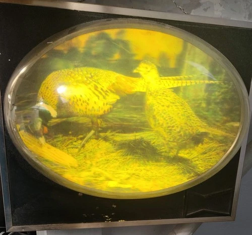 Vintage 1960s Budweiser Beer Lighted Bubble Sign Pheasants Cock & Hen Birds 3-D