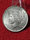 1922 HIGH GRADE Silver Peace Dollar  YOU Versus ME Grading Wars         #T2410