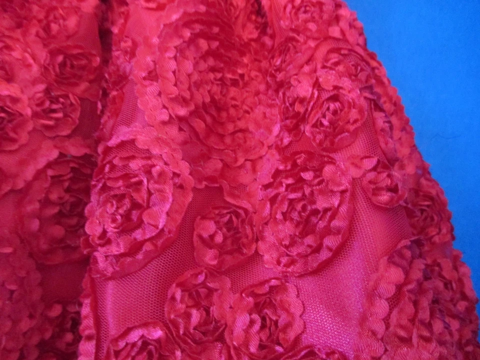 AMERICAN PRINCESS~Black with RED ROSETTES FLORAL DRESS~Toddler Girls 2T - Image 2 of 3