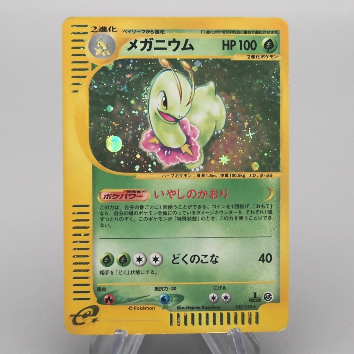 メガニウム 102/128 1EDITION Meganium 102/128 Base Expansion Pack for sale | eBay