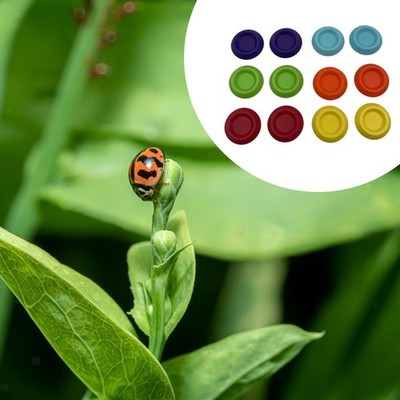 12 Futternäpfe für Schaben (für Terrarien mit Dubia-Schaben)