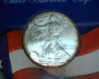 2007   SILVER EAGLE IN BRILLIANT UNCIRCULATED