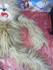 Bild 4 von 13