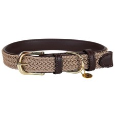 Kentucky Dogwear Beige S Hundehalsband Geflochten Nylon