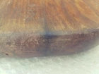 Picture 11 of 11