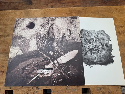 JAPAN : LP DAVID SYLVIAN - SECRETS OF THE BEEHIVE - UK