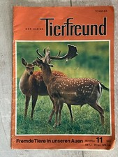 Mały przyjaciel zwierząt nr 11 listopada 1973