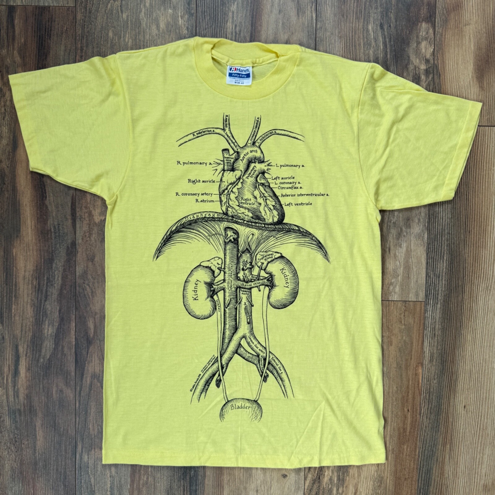 Vintage 1980s Leslie Arwin Anatomy Organ Art T Sh… - image 1