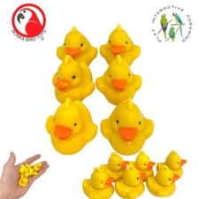 3773 Pk 6 Tiny Rubber Duck parrot toy cages cockatiel conure caique budgies