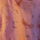 Picture 6 of 8