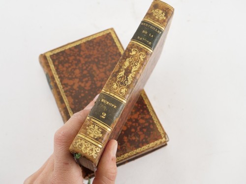 Merveilles de la Nature et de l'art M. de Marles 1836 Tome 1, 2 et 3 Prix école - Imagen 17 de 24