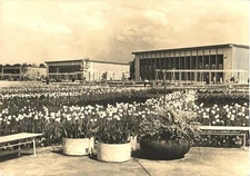 Beautiful Field of Flowers At Iga Exhibition Grounds, Erfurt, Germany Postcard