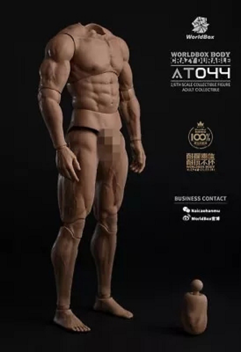 Worldbox 1:6 Male Neck Free Soft Muscular Body Action Figure Model