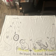 Disney Baby Winnie the Pooh Milestone Blanket Plush Bear White Gray Yellow