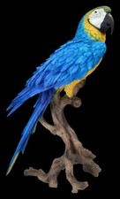 Gartenfigur Papagei XXL - Ara Gelbbrustara - HotAnt Vogelfigur Deko Tier - 67 cm