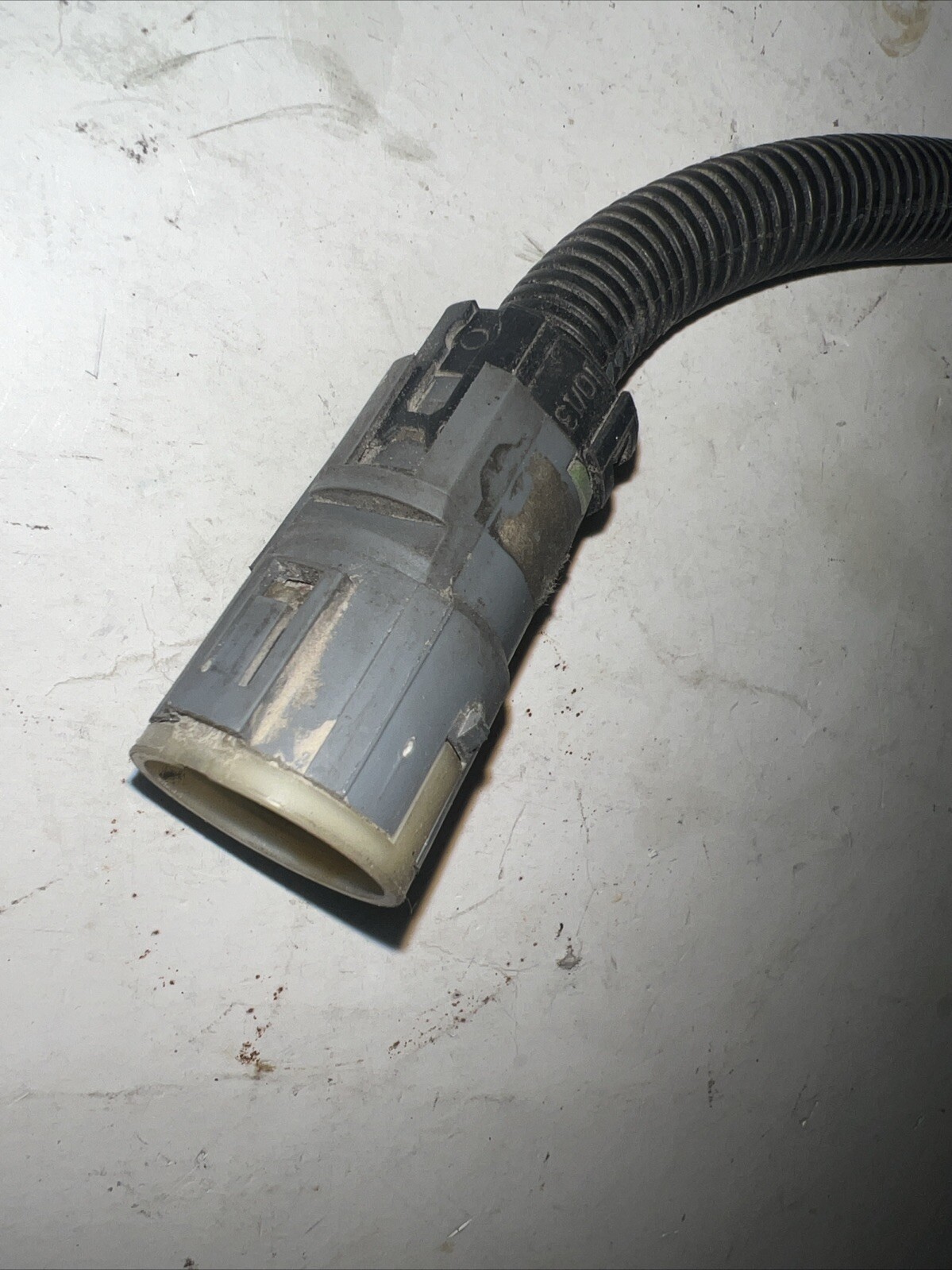 Foto 6 di 11
