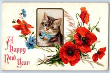 1910 New Year Cat Kitten And Poppy Flowers Embossed Wall Street NY Postcard